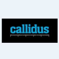 Callidus Surveys