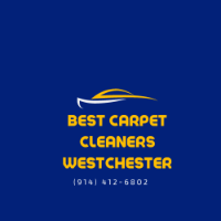 Brands,  Businesses, Places & Professionals Best Carpet Cleaners Westchester in New Rochelle NY