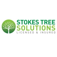 Stokes Tree Solutions