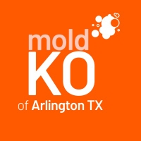 Mold KO of Arlington