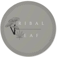 Brands,  Businesses, Places & Professionals Tribal Leaf in Washington DC