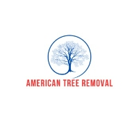 American Tree Removal