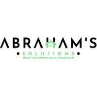 Abraham Solutions