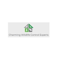 Charming Wildlife Control Experts