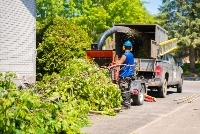 Brands,  Businesses, Places & Professionals Tree Service Palmetto LFL in Palmetto FL