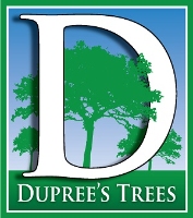 Dupree's Trees