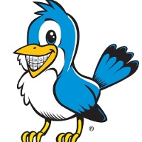 Brands,  Businesses, Places & Professionals Braces by Bird in Charlotte NC