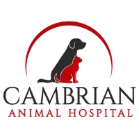 Cambrian Animal Hospital