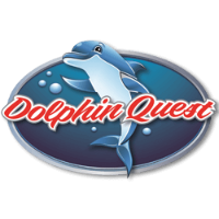 Brands,  Businesses, Places & Professionals Dolphin Quest in Madeira Beach FL