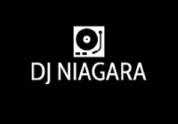 Brands,  Businesses, Places & Professionals DJ Niagara in Niagara Falls, ON ON