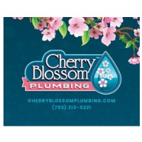 Brands,  Businesses, Places & Professionals Cherry Blossom Plumbing in Arlington VA