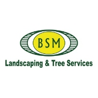 Brands,  Businesses, Places & Professionals BSM Landscaping and Tree Service in Mechanicsburg PA