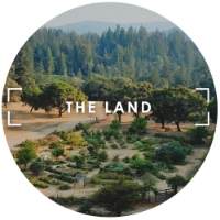 The Land