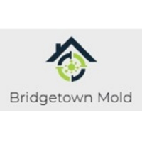 Brands,  Businesses, Places & Professionals Bridgetown Mold Specialist in Twin Falls ID