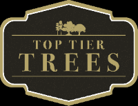 Brands,  Businesses, Places & Professionals Top Tier Trees in Marietta GA