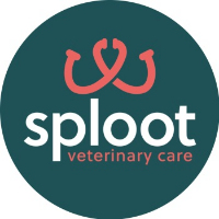 Brands,  Businesses, Places & Professionals Sploot Veterinary Care - RiNo in Denver CO