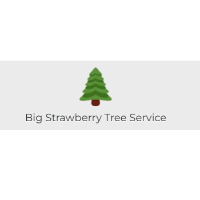 Big Strawberry Tree Service