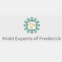 Mold Experts of Frederick