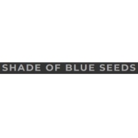 Brands,  Businesses, Places & Professionals Shade of Blue in Mulara QLD