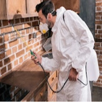 Brands,  Businesses, Places & Professionals Rapid Pest Control Chula Vista in Chula Vista CA