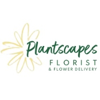 Plantscapes Florist & Flower Delivery