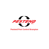 Pestend Pest Control Brampton