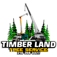 Timberland Tree Services