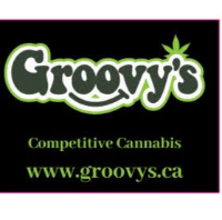 Brands,  Businesses, Places & Professionals Groovy's Cannabis in Wasaga Beach ON