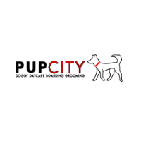 Pup City Doggy Daycare