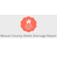 Brands,  Businesses, Places & Professionals Beaver County Water Damage Repair in Aliquippa PA