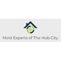 Mold Experts of The Hub City