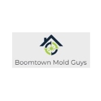 Brands,  Businesses, Places & Professionals Boomtown Mold Guys in Beaumont TX