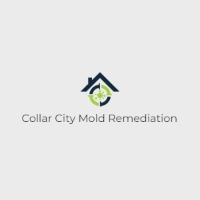 Brands,  Businesses, Places & Professionals Collar City Mold Remediation in Troy NY