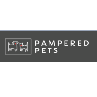 Pampered Pets NYC Dog Walking and Cat Sitting