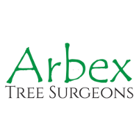 Arbex Tree Surgeons