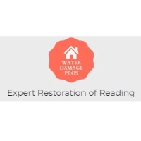 Expert Restoration of Reading