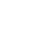 Braven Group