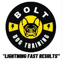 Brands,  Businesses, Places & Professionals Bolt Dog Training in  