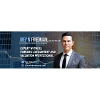 Joey Friedman CPA PA - Forensic Accountant & Business Valuations