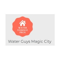 Water Guys Magic City