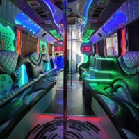 Brands,  Businesses, Places & Professionals NEW ORLEANS BACHELOR PARTY STRIPPERS - PARTY BUS RENTAL in New Orleans LA