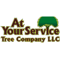 Brands,  Businesses, Places & Professionals At Your Service Tree Company LLC in Bristol TN