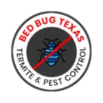 Bed Bug Texas