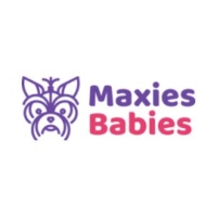 Brands,  Businesses, Places & Professionals Maxine's Puppies in Bensonhurst NY