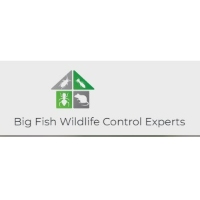 Big Fish Wildlife Control Experts