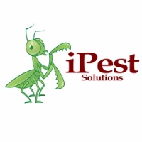 Brands,  Businesses, Places & Professionals iPest Solutions in Hewitt TX