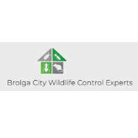 Brolga City Wildlife Control Experts