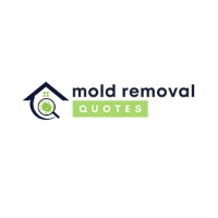 City of the Arts Pro Mold Removal