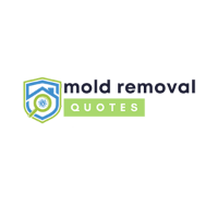 Brands,  Businesses, Places & Professionals City on the Circle Mold Solutions in  FL