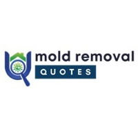 Martin County Mold Services